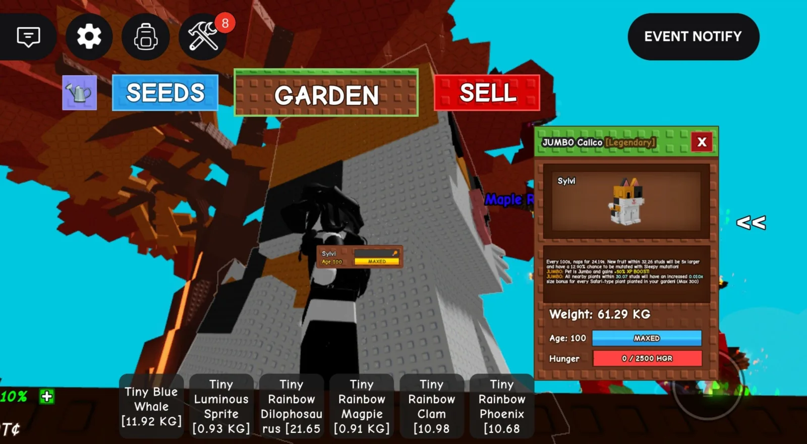 CALICO CAT HUGE JUMBO DLC PET LIMITED RARE 60-61 KG AGE 100 BIG VISUAL GROW A GARDEN — Account account