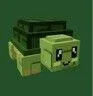 Turtle (Rare)