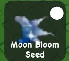 Moon Bloom Seed — Account account