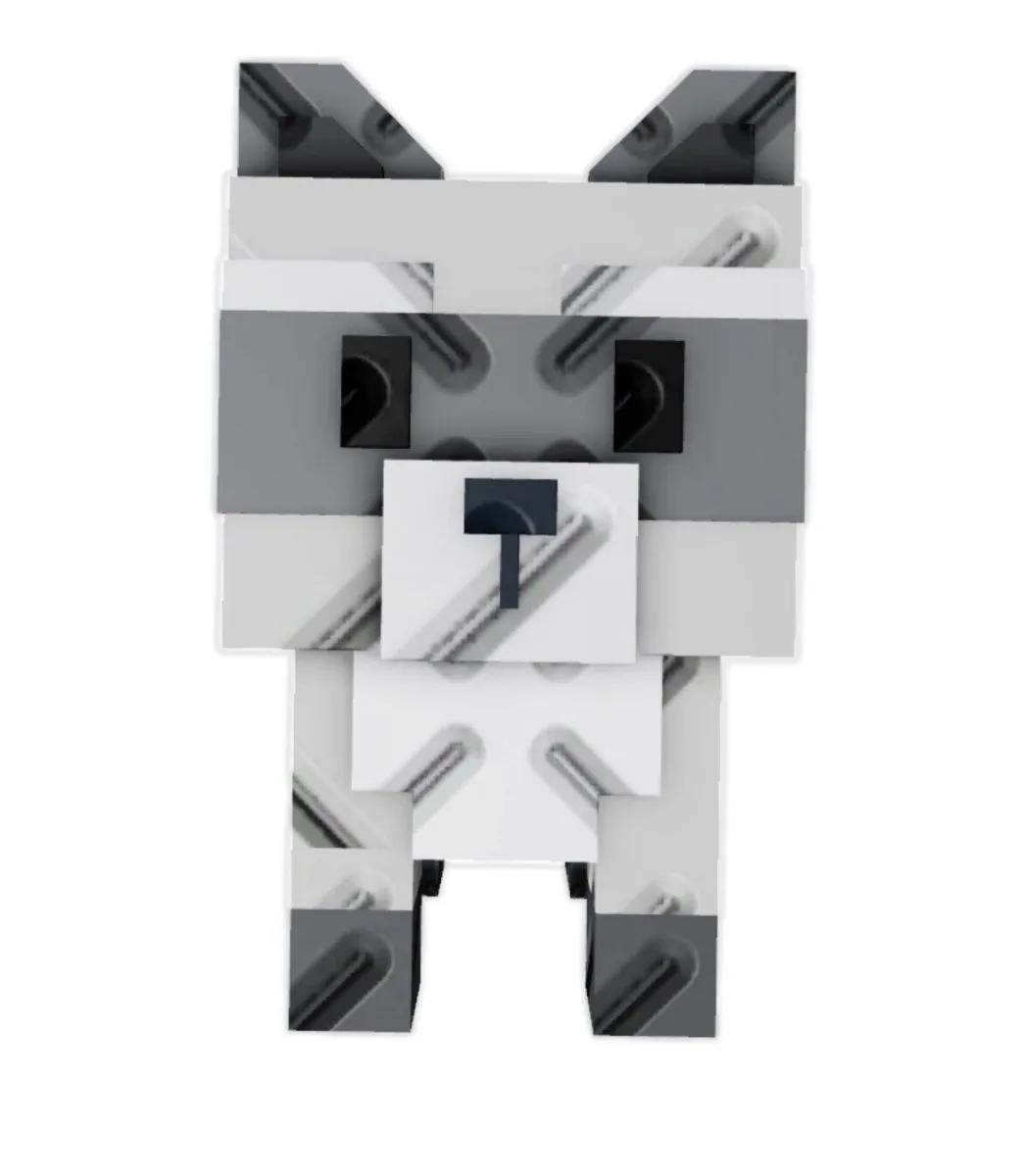 Raccoon