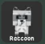 Raccoon (Super) — Account account
