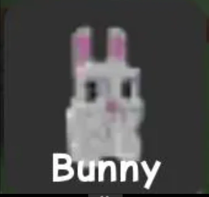 Bunny
