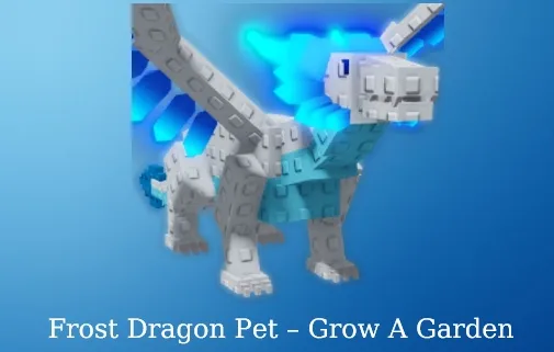 Frost dragon — Account account