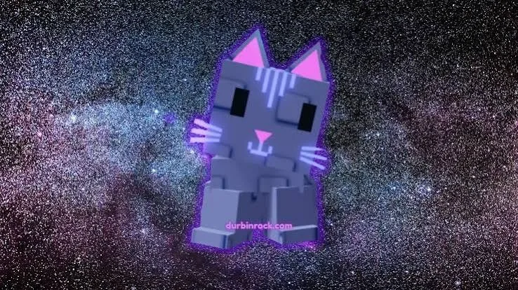 Moon Cats!!!