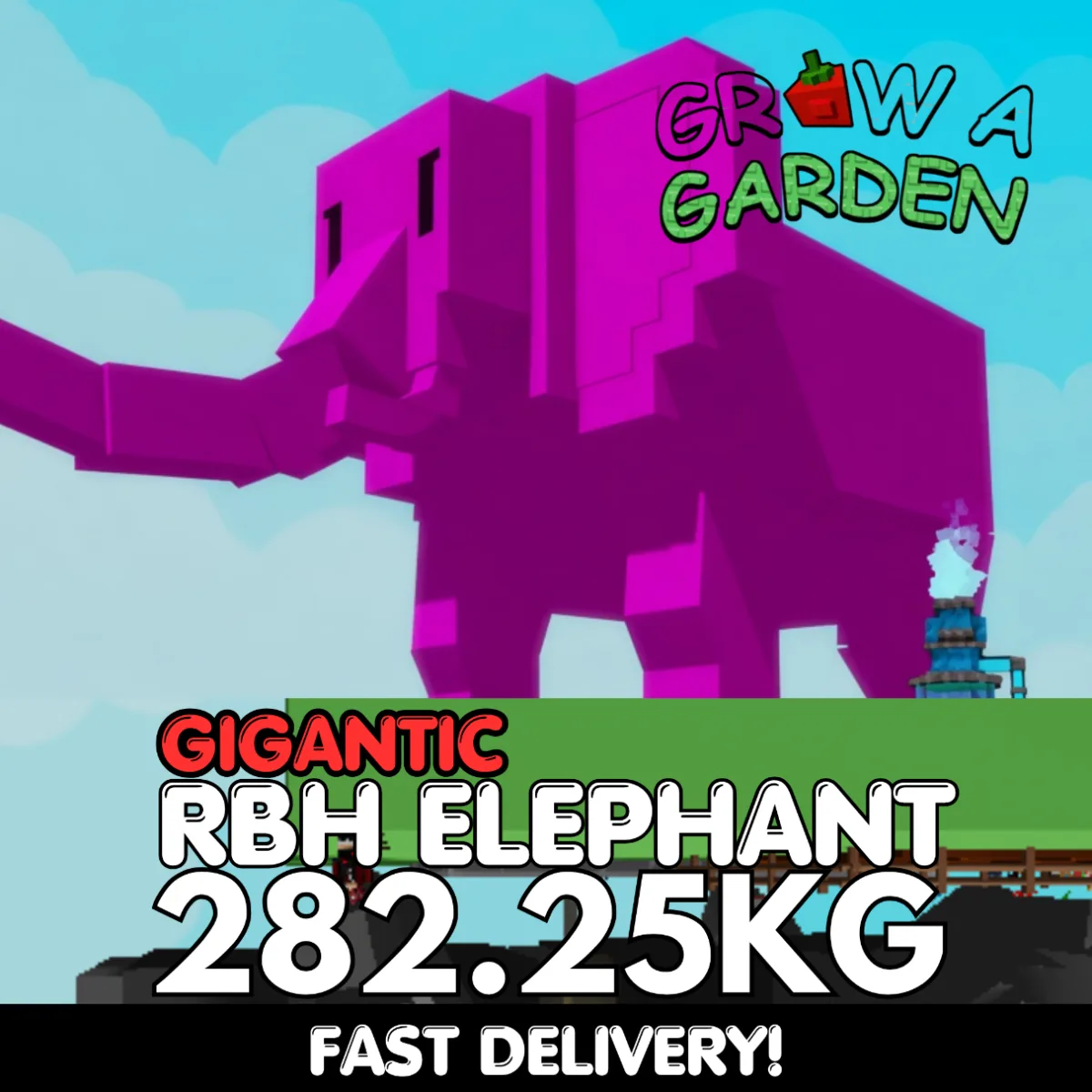 GIGANTIC Rainbow Hatched Elephant 282.25KG RBH Age 500 INSTANT DELIVERY