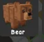 1x Bear — Account account