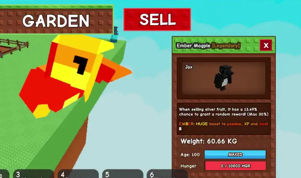 60kg+ Ember Magpie super handsome and rare