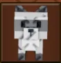 Raccoon (Super) — Account account