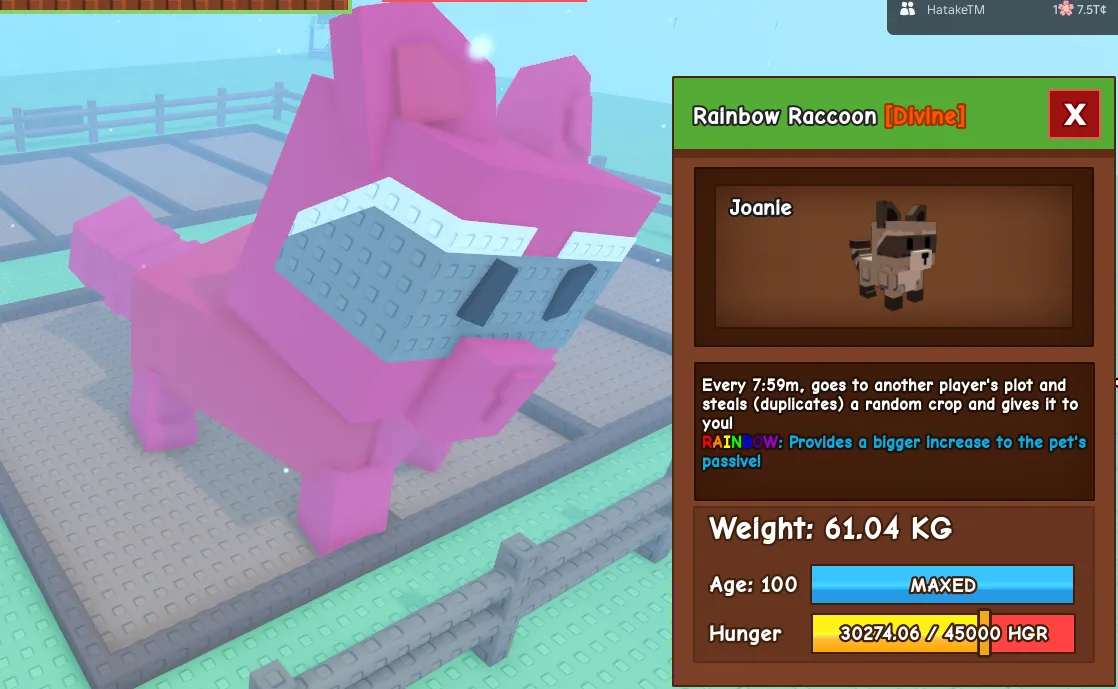 DONE 61.09kg+ Age 100 Rainbow Raccoon