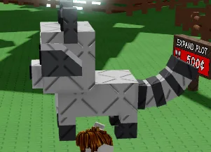 Raccoon