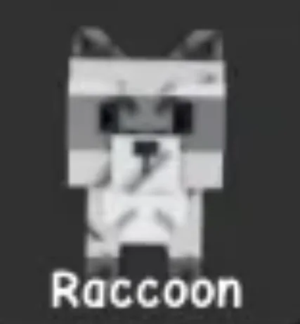 Raccoon (Super) — Account account