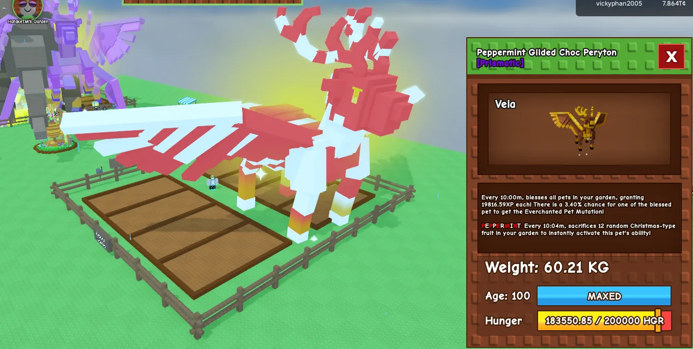 60kg+ Peppermint Gilded Choc Peryton — Account account