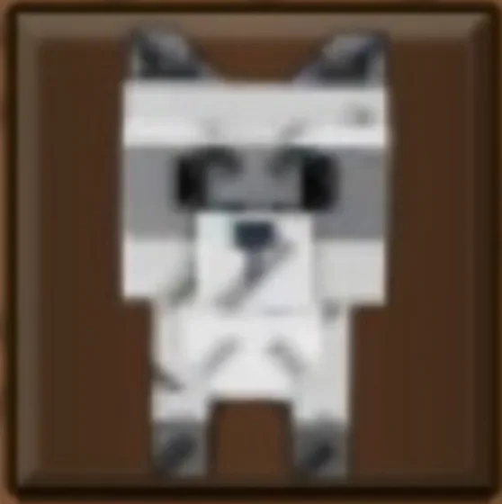 Raccoon (Super)