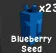Blueberry Seed