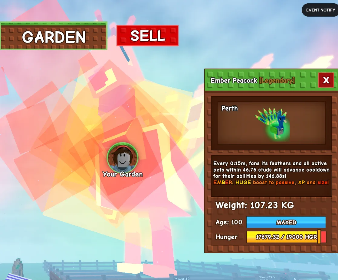 107.23kg Godly Ember Peacock — Account account