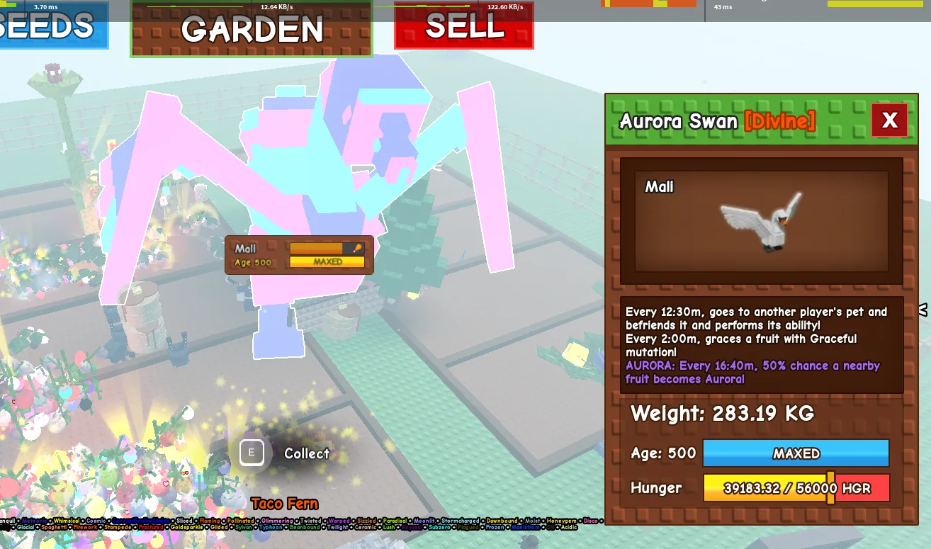 280kg+ Aurora Swan super handsome//maxxcapped and handsome like it owner