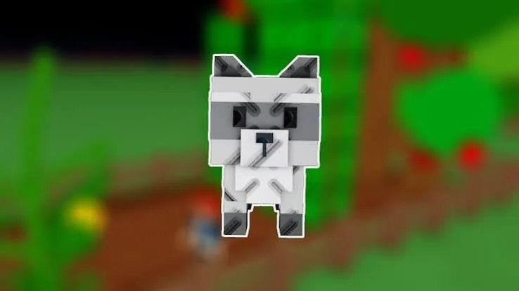 Raccoon (Super)