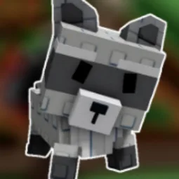 Raccoon