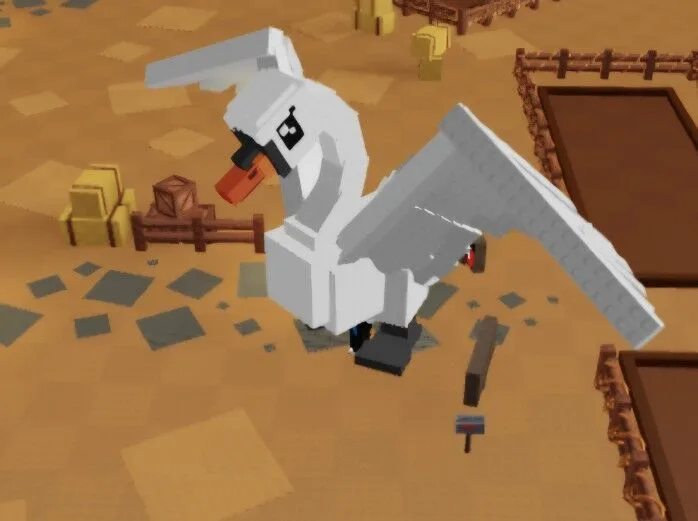 Swan (Common)