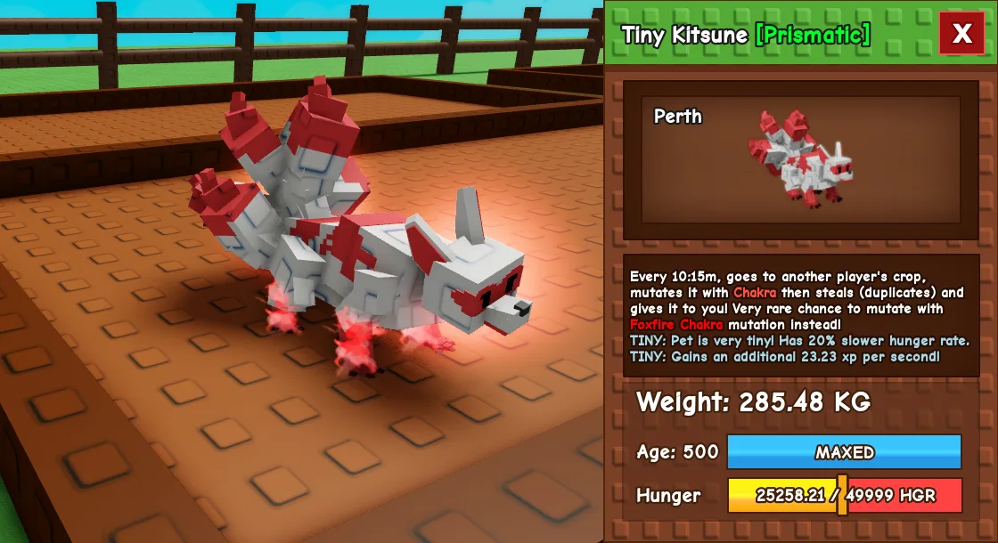 285.48kg Tiny Kitsune Cute Farming