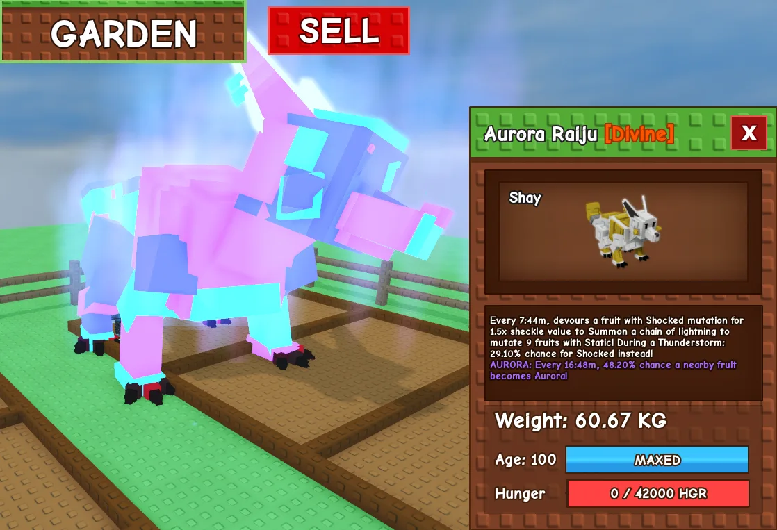 60.56kg+ Aurora / Mega Raiju