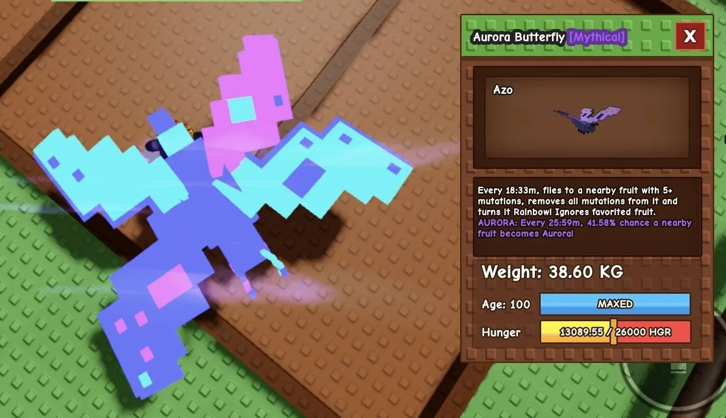 Huge AURORA Butterfly - 38.60 KG (Age 100)