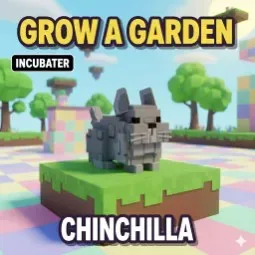 Chinchilla