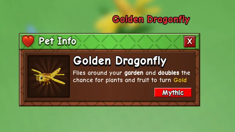 Golden Dragonfly — Account account