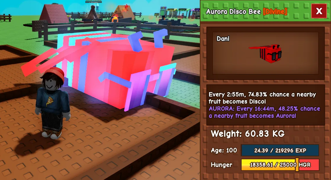 60.83kg Aurora Disco Bee — Account account