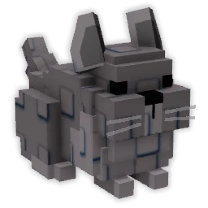 Chinchilla