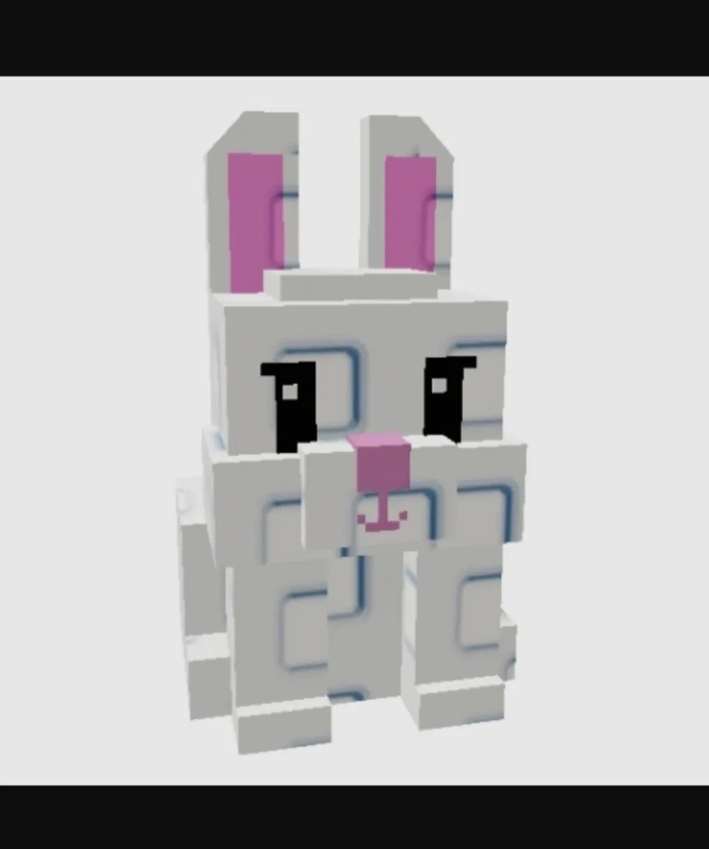 Bunny