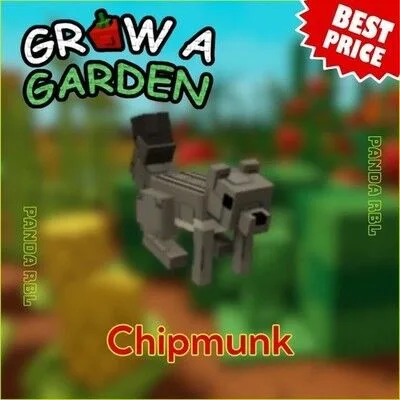 Pet (Get 2 For 1 ) Chipmunk Grow a Garden Instant Delivery Safe trade GAG — Account account