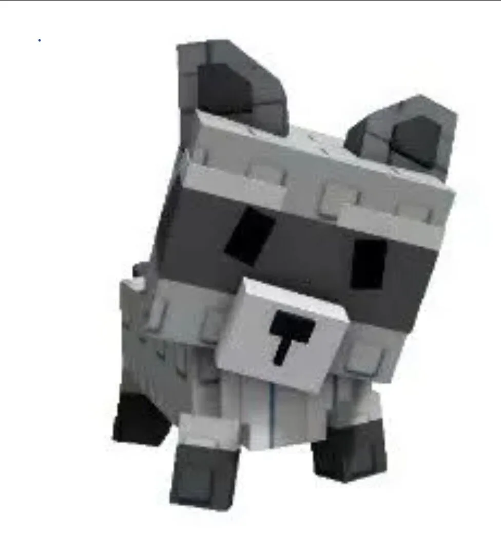 Raccoon