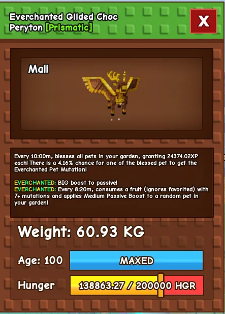 60kg+ EVERCHANTED GILDED CHOC PERYTON SUPER HANDSOME
