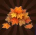 5000 Leaves 10R
