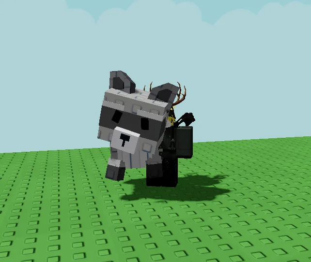 Raccon — Account account