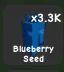 Blueberry Seed — Account account