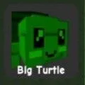 Turtle (Rare)