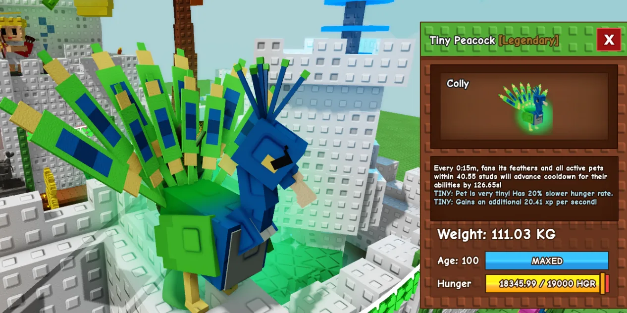 Tiny Colossal Titanic Huge Peacock 111Kg+ Age 100 15s cd