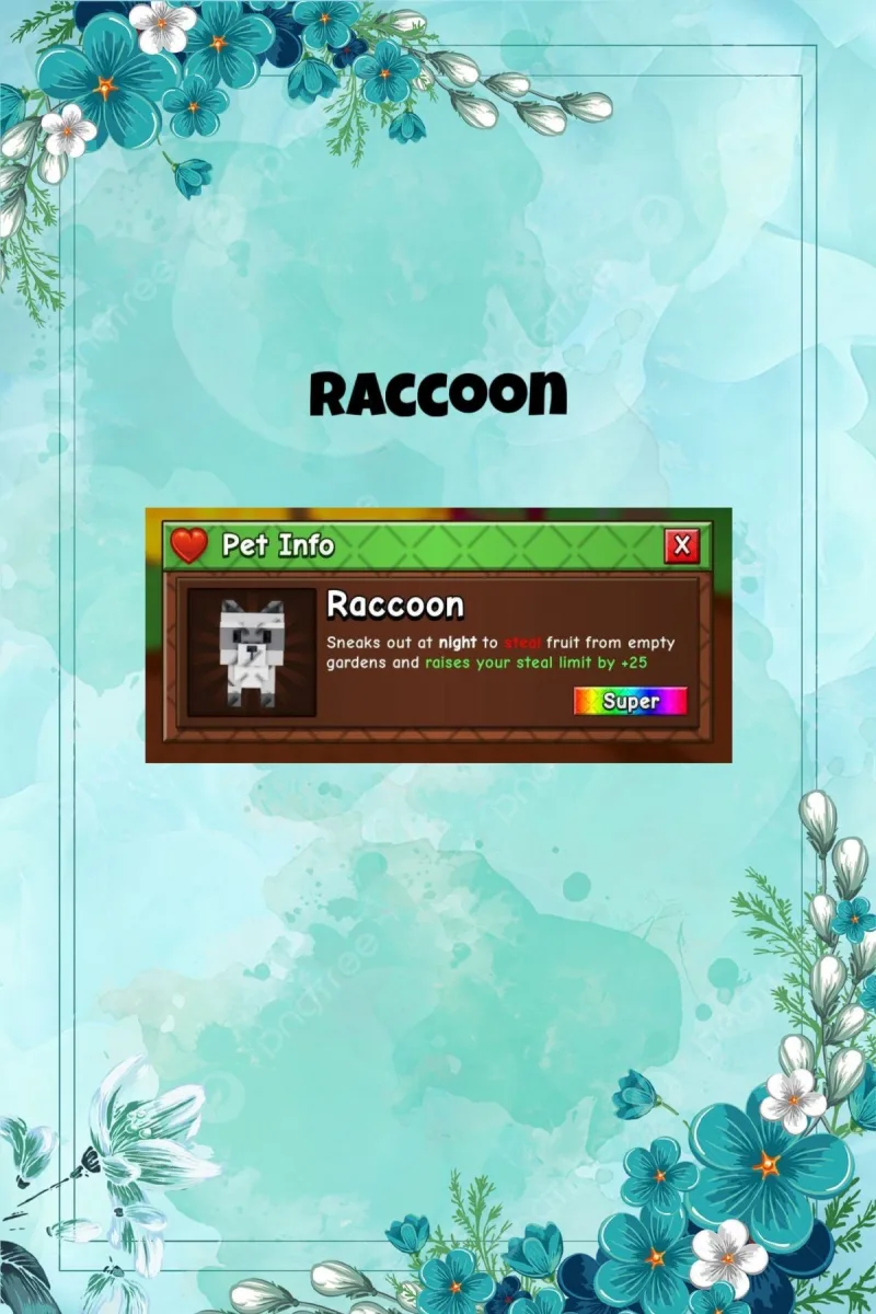 Raccoon (Super) — Account account