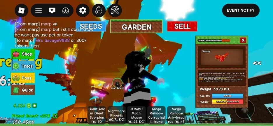 RAINBOW HATCHED PHOENIX JUMBO age 100 60kg+ Super Big Visual Titanic Visual Collectors Pet