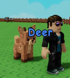 Deer — Account account