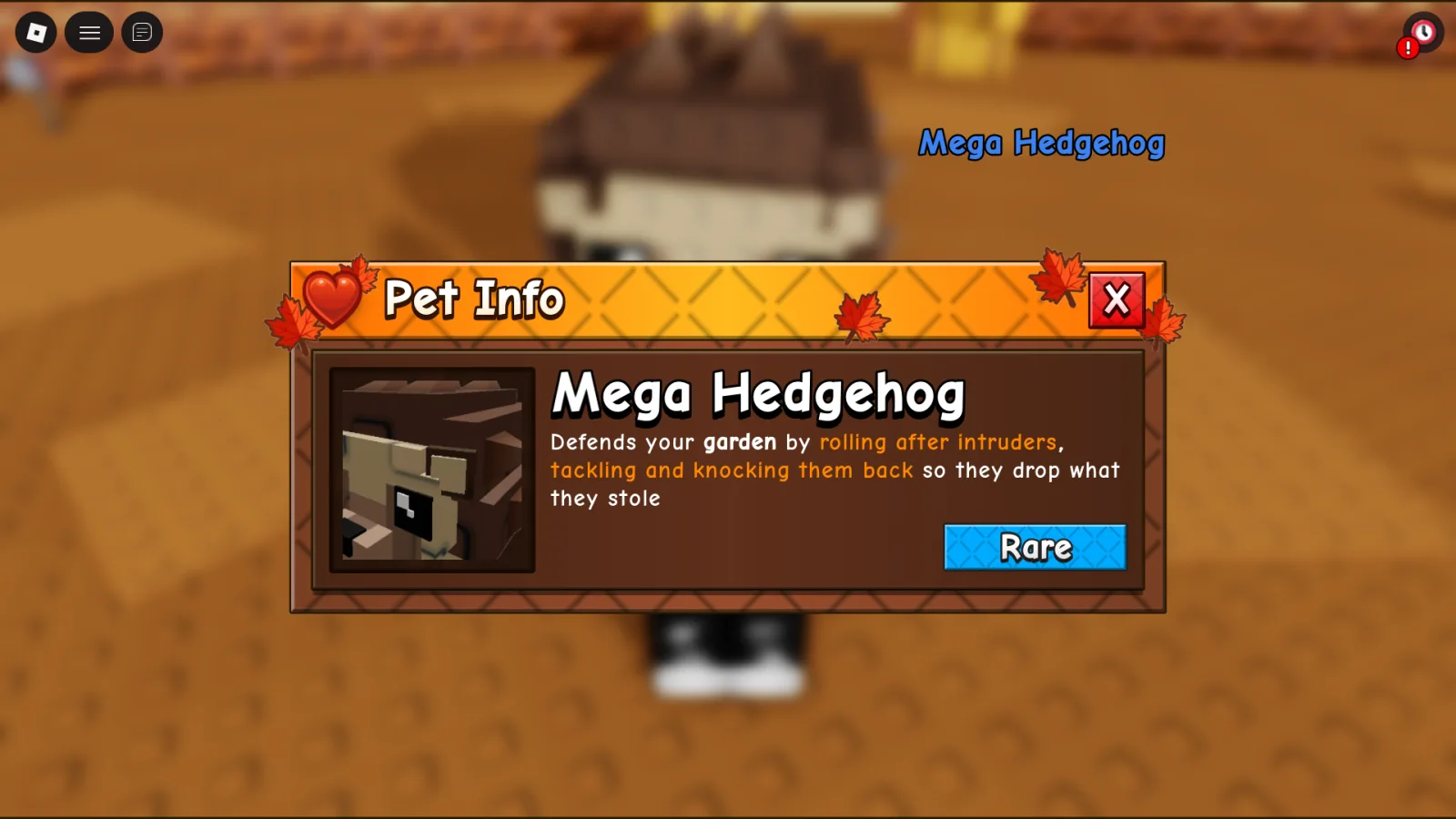 Hedgehog (Rare)
