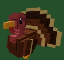 Turkey (Rare)