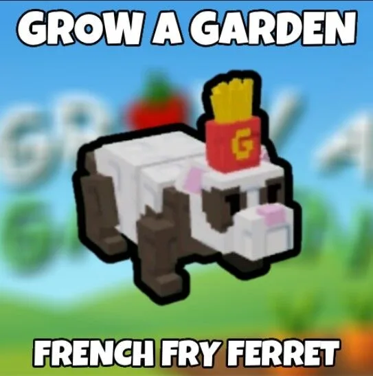 French Fry Ferret — Account account