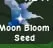 Moon Bloom Seed