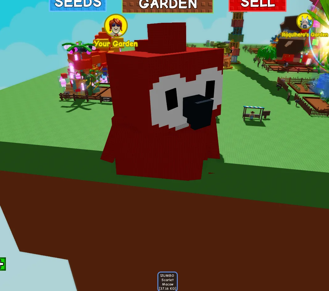 TITANIC HUGE GIANT JUMBO SCARLET MACAW (JUMBO MUTATION) 80.15KG 100AGE // STILL GROWING // CLEAN // CHEAP — Account account