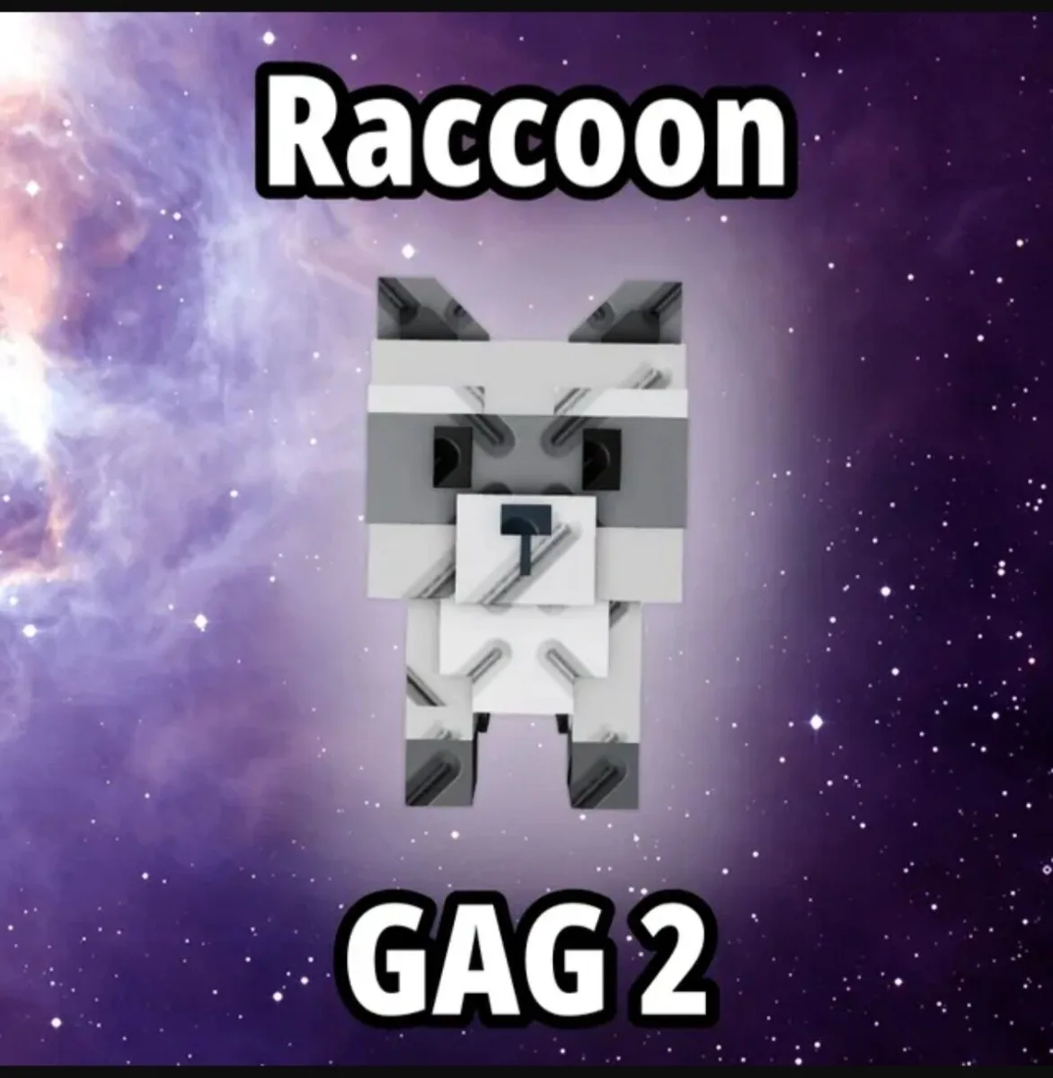 Raccoon (Super) — Account account
