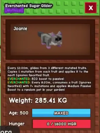 280KG+ Everchanted Sugar Glider Mythical // super handsome // Age 500 Maxed // Mutation Copier//not raccoon/i run out of tag others limitation