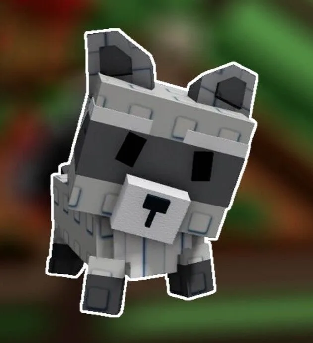 Raccoon (Super) — Account account